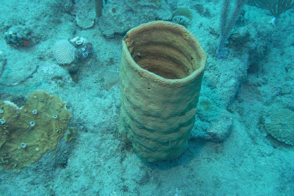 2008-05-17 15-14-23 H.JPG
